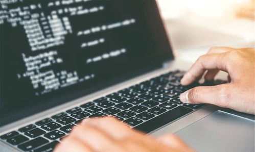 重點大學計算機專業學生，考研還是就業？